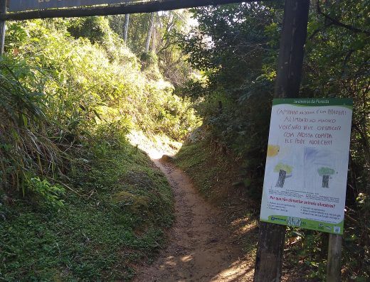 Caminho da Costa da Lagoa
