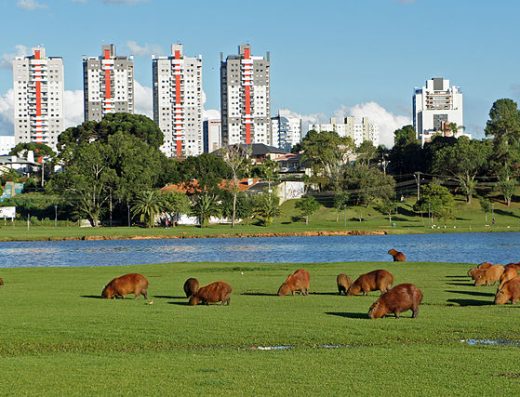 Parque Barigui
