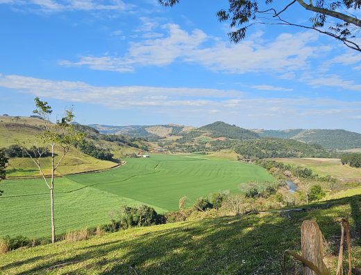 Desafio Biocachu – Experiência Teste