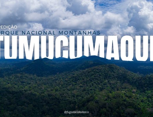 3 DIAS DE EXPEDIÇÃO NO PARQUE DO TUMUCUMAQUE COM TRANSPORTE E REFEIÇÕES INCLUSAS