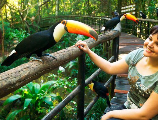 Tour Cataratas Brasileiras com Parque das Aves (ingresso + transfer)
