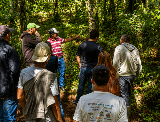 EXPERIÊNCIA DO MEL EM CAMBARÁ DO SUL | NATUREZA, CULTURA E SABORES